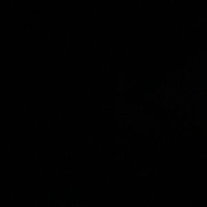 Meet your Posher, Bryant